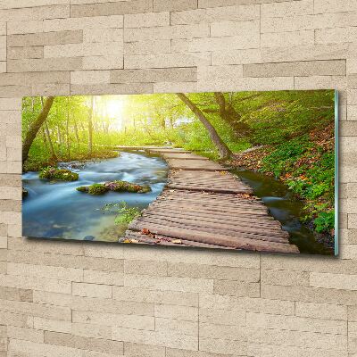 Acrylic wall art Path in the forest