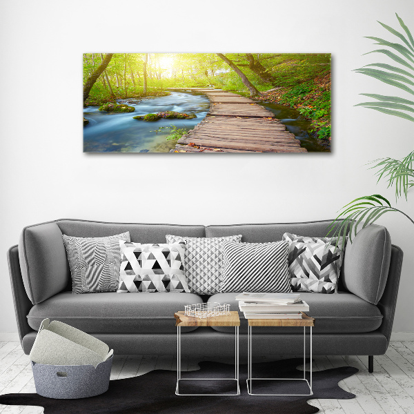 Acrylic wall art Path in the forest