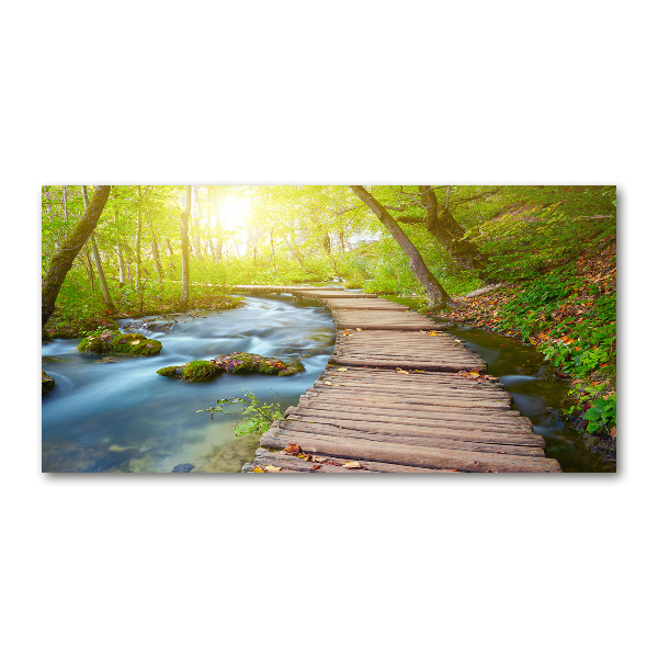 Acrylic wall art Path in the forest