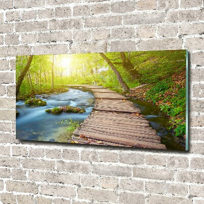 Acrylic wall art Path in the forest