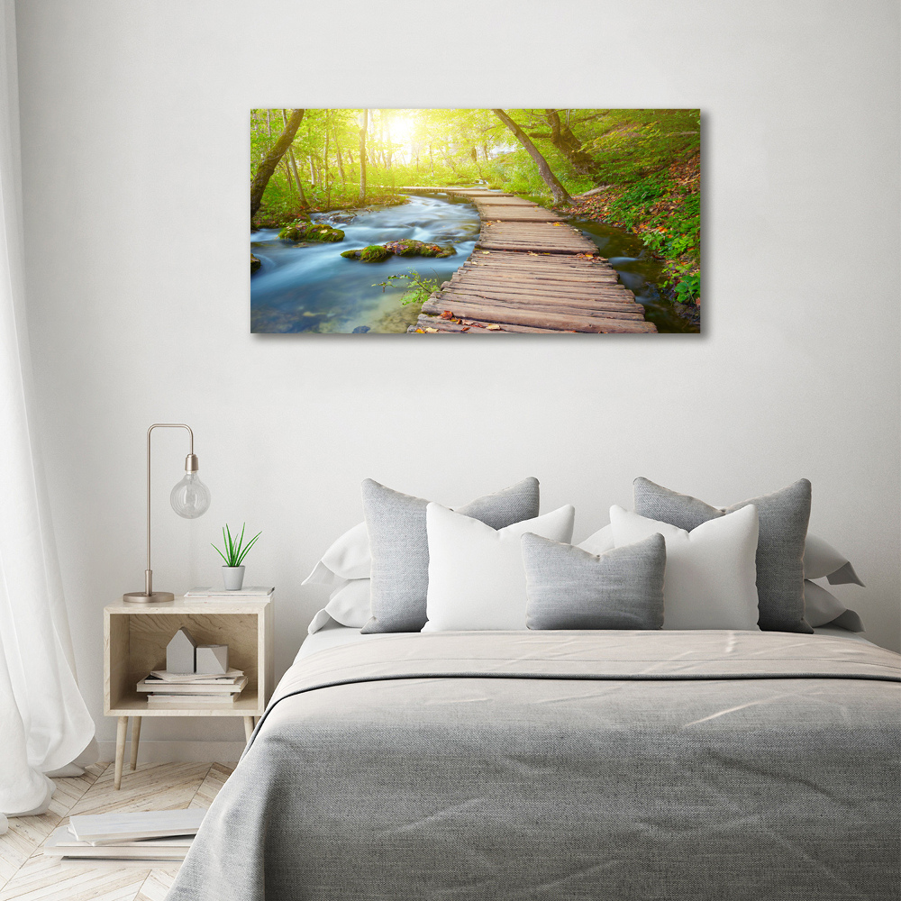 Acrylic wall art Path in the forest