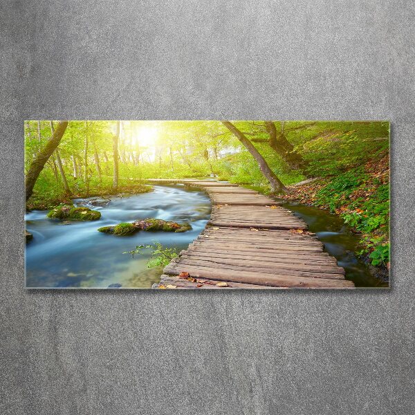 Acrylic wall art Path in the forest