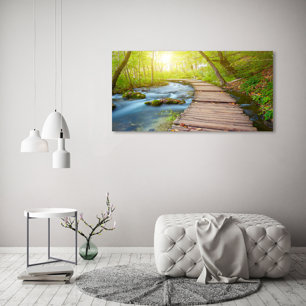 Acrylic wall art Path in the forest