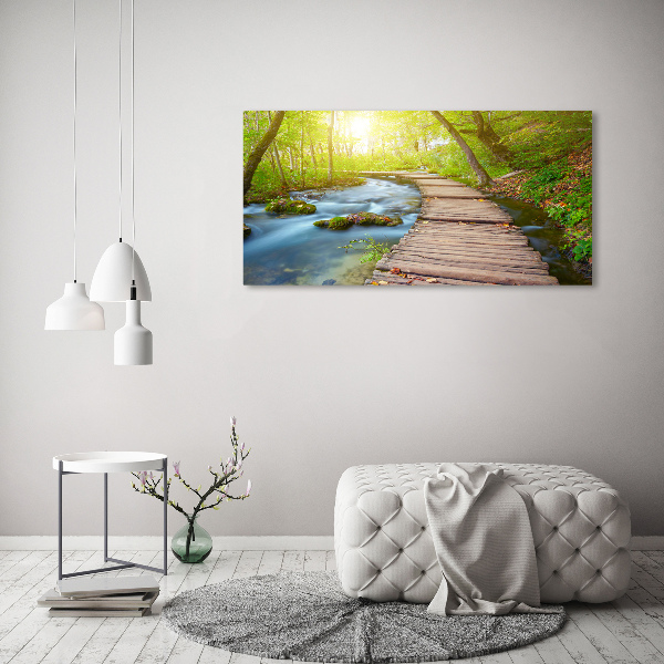 Acrylic wall art Path in the forest