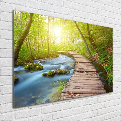 Acrylic wall art Path in the forest