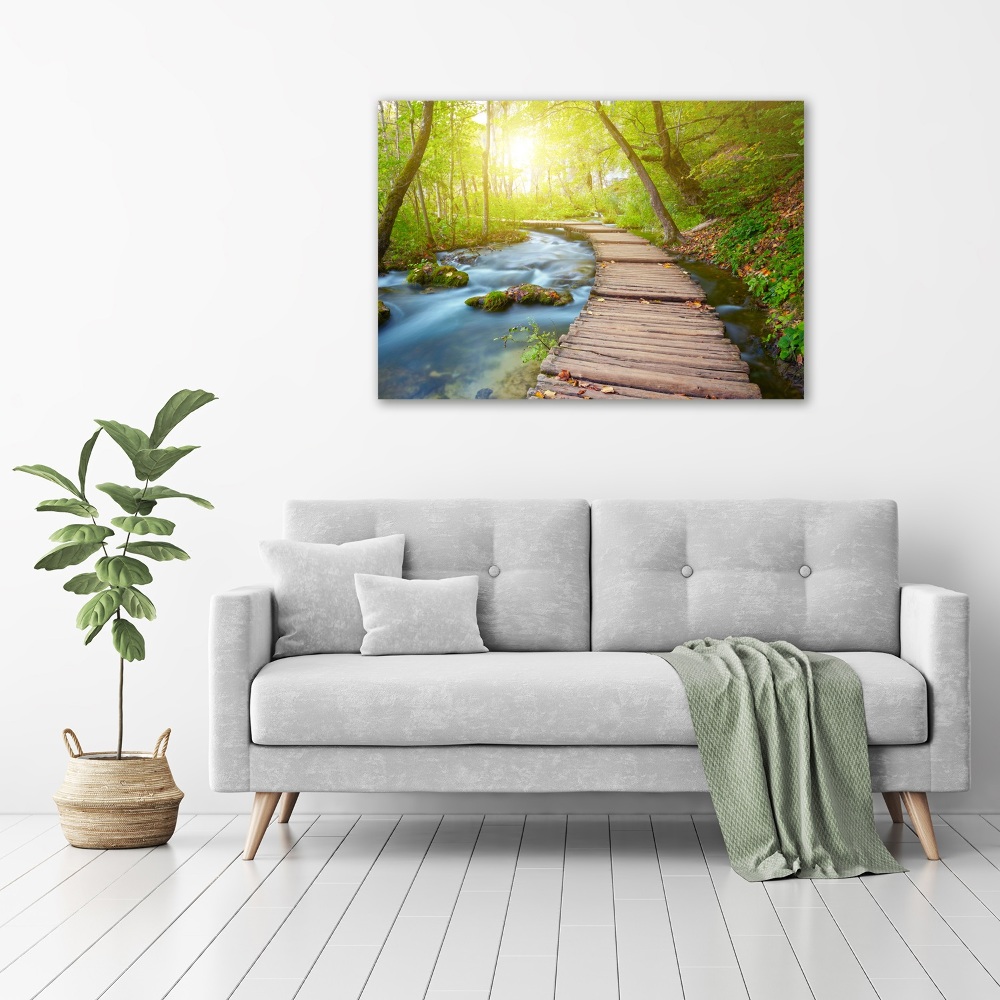 Acrylic wall art Path in the forest