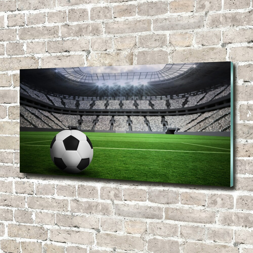 Print on acrylic Ball at the stadium