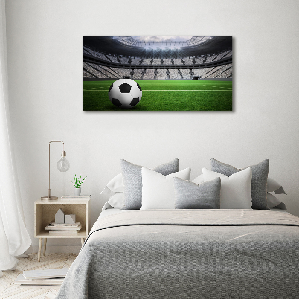 Print on acrylic Ball at the stadium