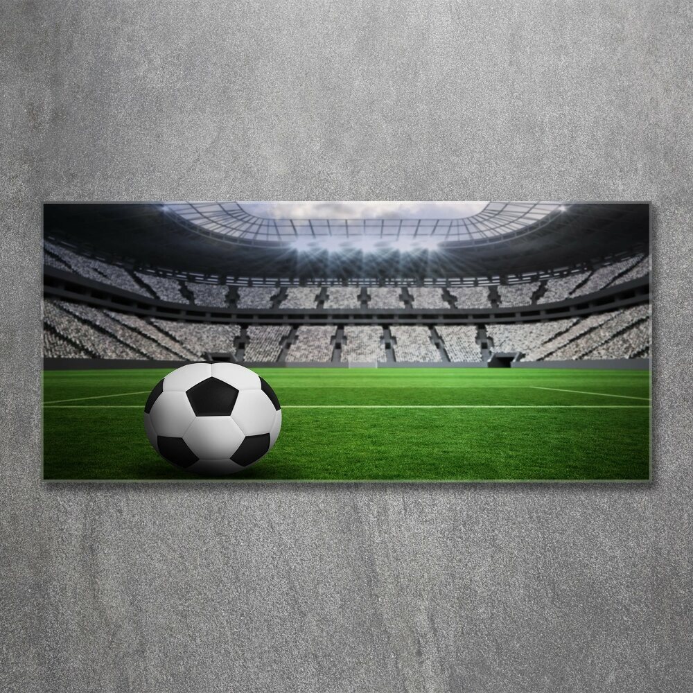 Print on acrylic Ball at the stadium