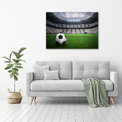 Print on acrylic Ball at the stadium