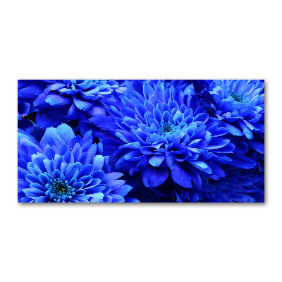 Print on acrylic Blue aster