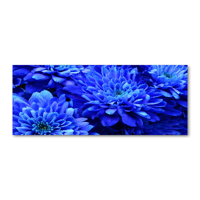 Print on acrylic Blue aster