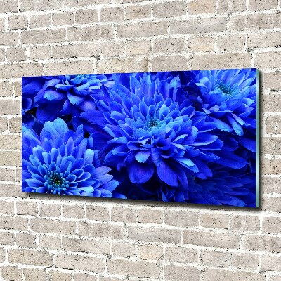 Print on acrylic Blue aster