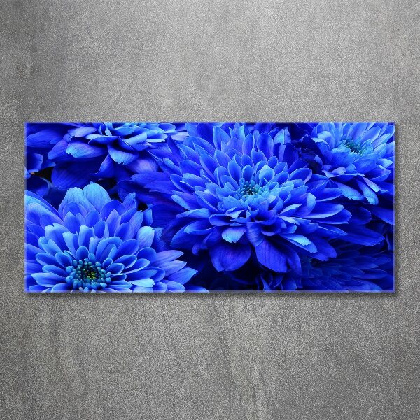 Print on acrylic Blue aster