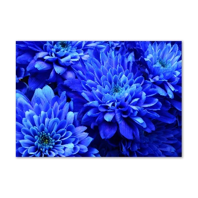 Print on acrylic Blue aster