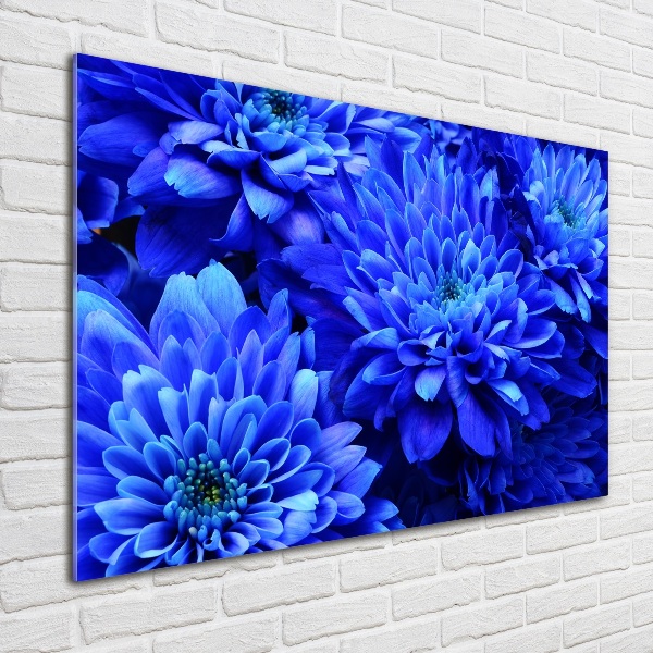 Print on acrylic Blue aster