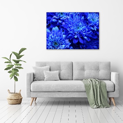 Print on acrylic Blue aster