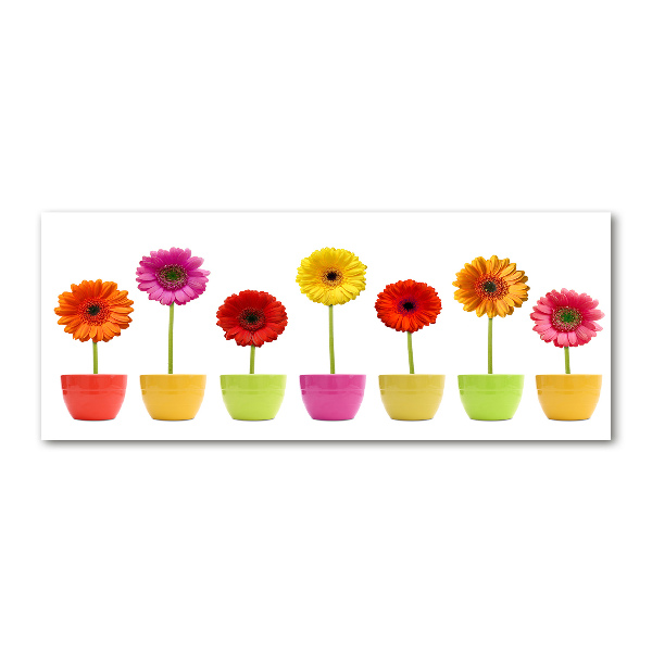 Print on acrylic Colorful gerberas