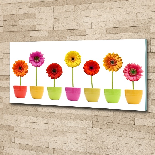 Print on acrylic Colorful gerberas