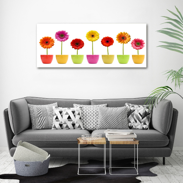 Print on acrylic Colorful gerberas