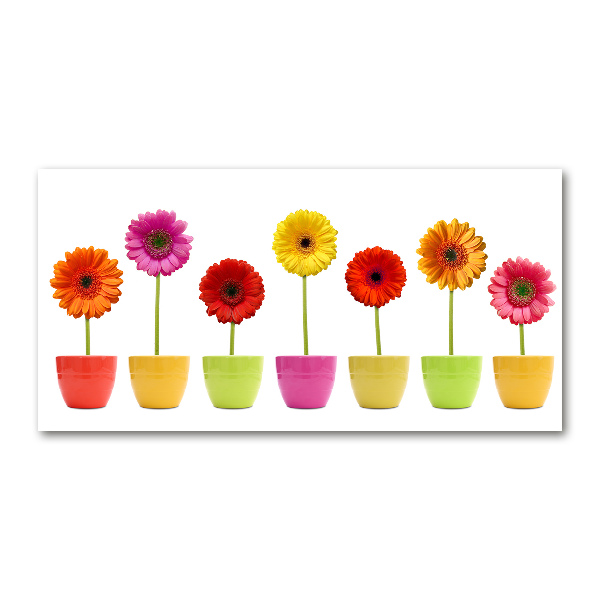 Print on acrylic Colorful gerberas