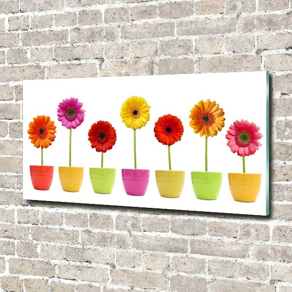 Print on acrylic Colorful gerberas