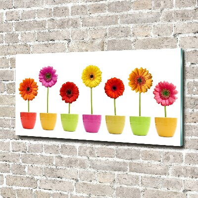 Print on acrylic Colorful gerberas