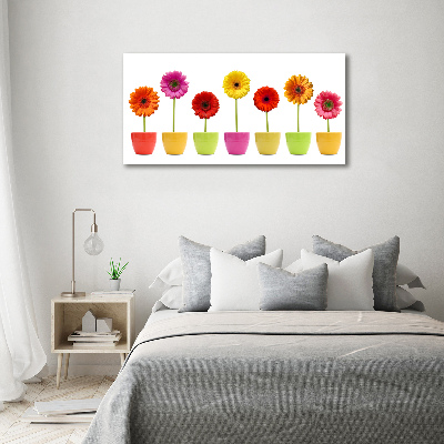 Print on acrylic Colorful gerberas