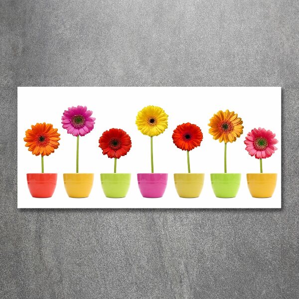 Print on acrylic Colorful gerberas