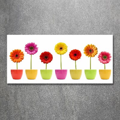 Print on acrylic Colorful gerberas