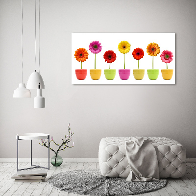 Print on acrylic Colorful gerberas