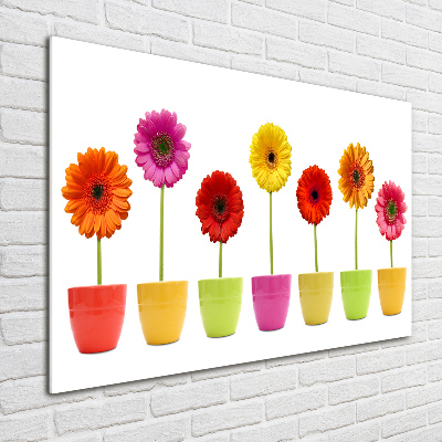 Print on acrylic Colorful gerberas