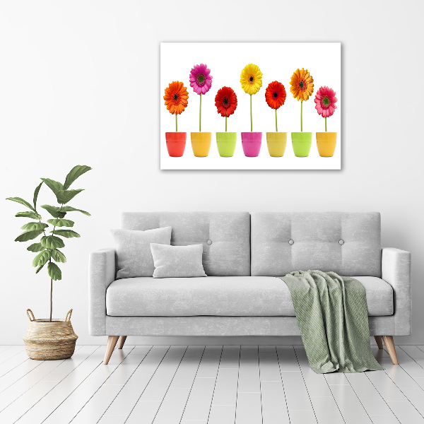 Print on acrylic Colorful gerberas