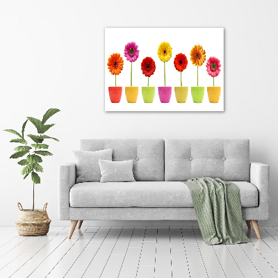 Print on acrylic Colorful gerberas