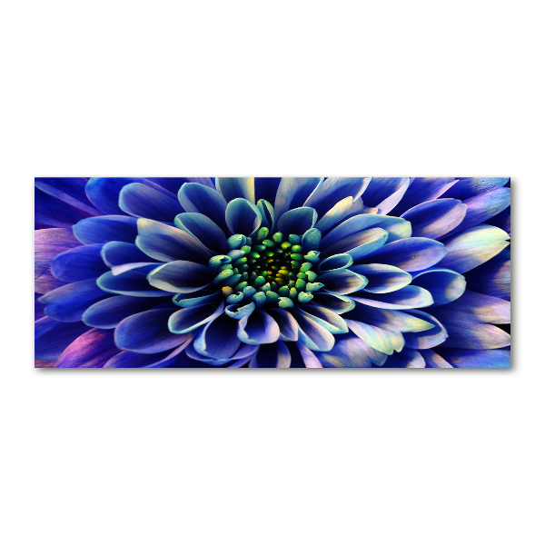 Print on acrylic Aster