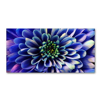 Print on acrylic Aster