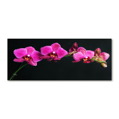 Print on acrylic Orchid