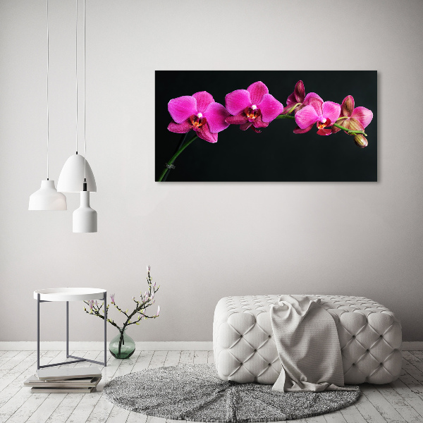 Print on acrylic Orchid