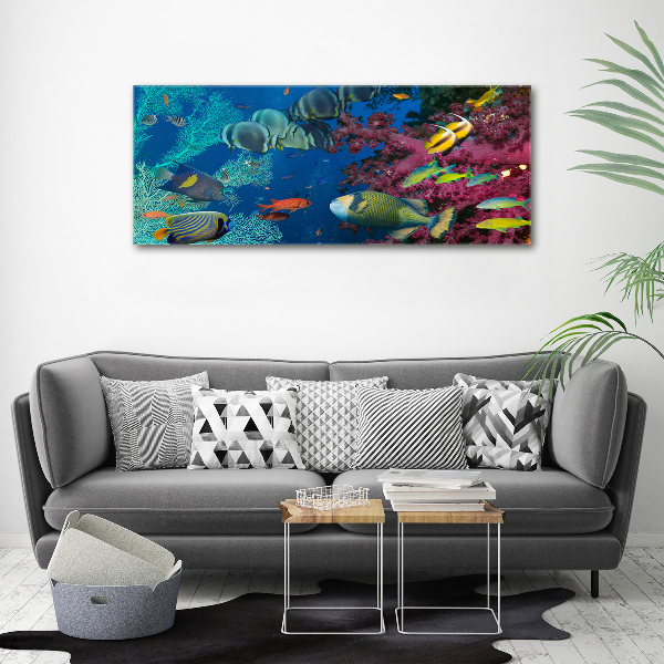 Acrylic wall picture Coral reef