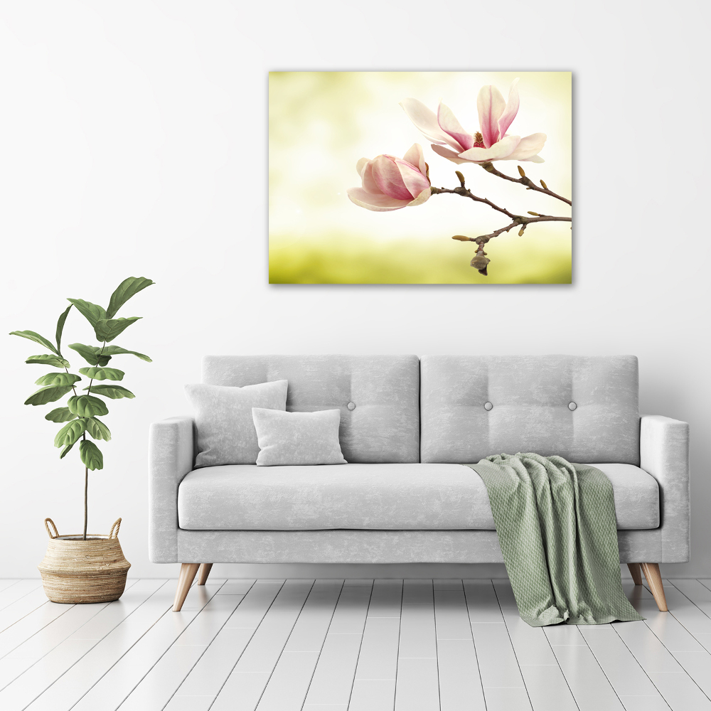 Print on acrylic Magnolia