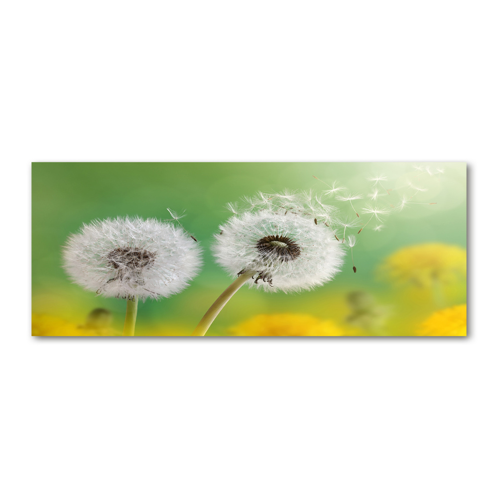 Acrylic wall art dandelions