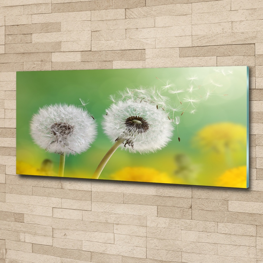 Acrylic wall art dandelions