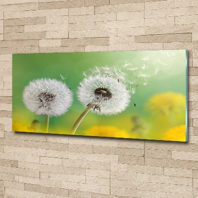 Acrylic wall art dandelions