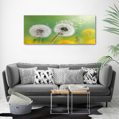 Acrylic wall art dandelions