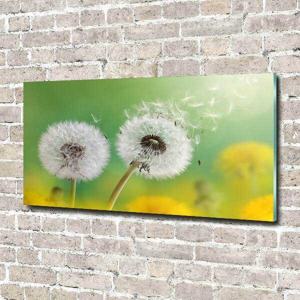 Acrylic wall art dandelions