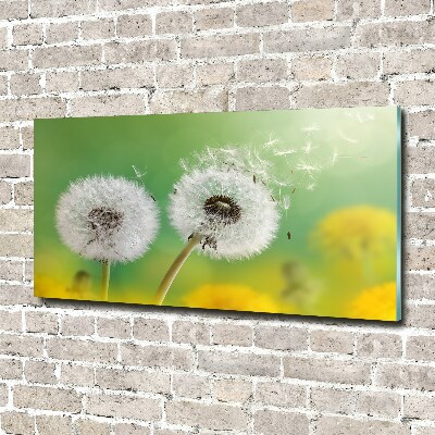 Acrylic wall art dandelions