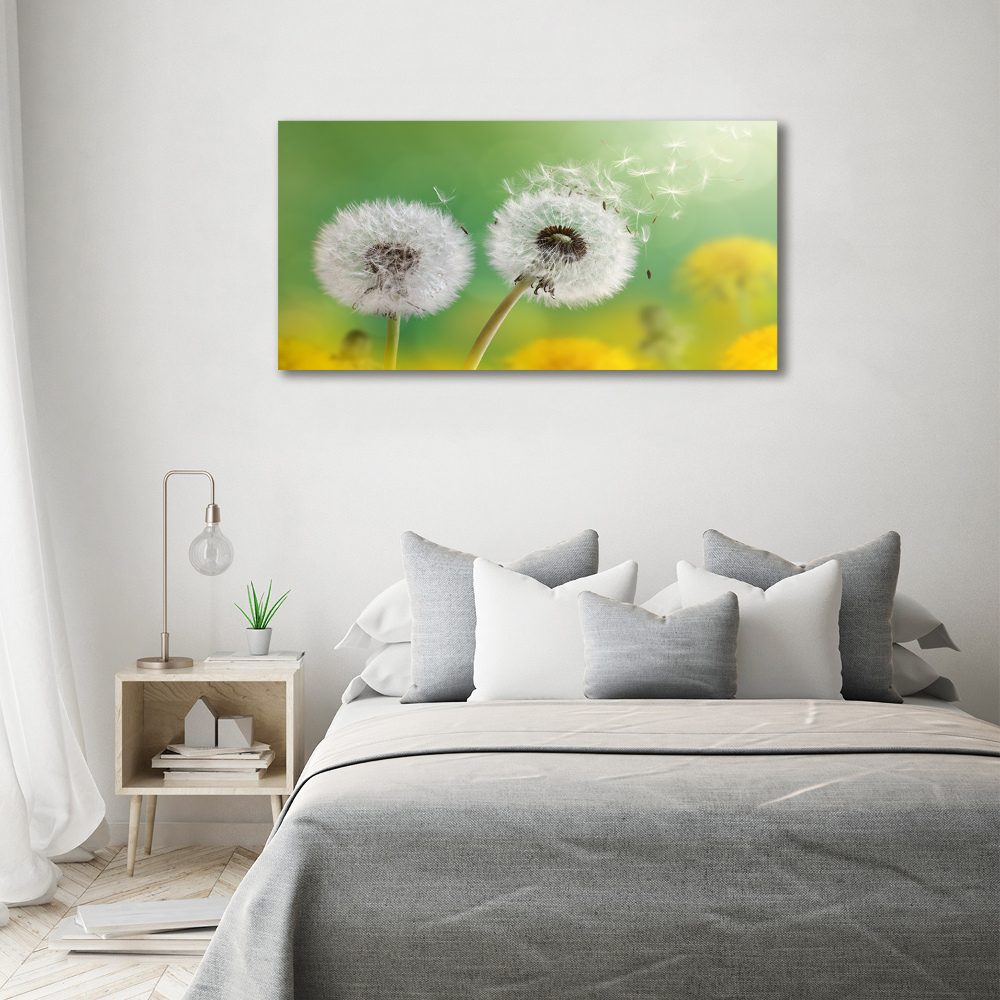 Acrylic wall art dandelions