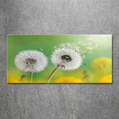 Acrylic wall art dandelions