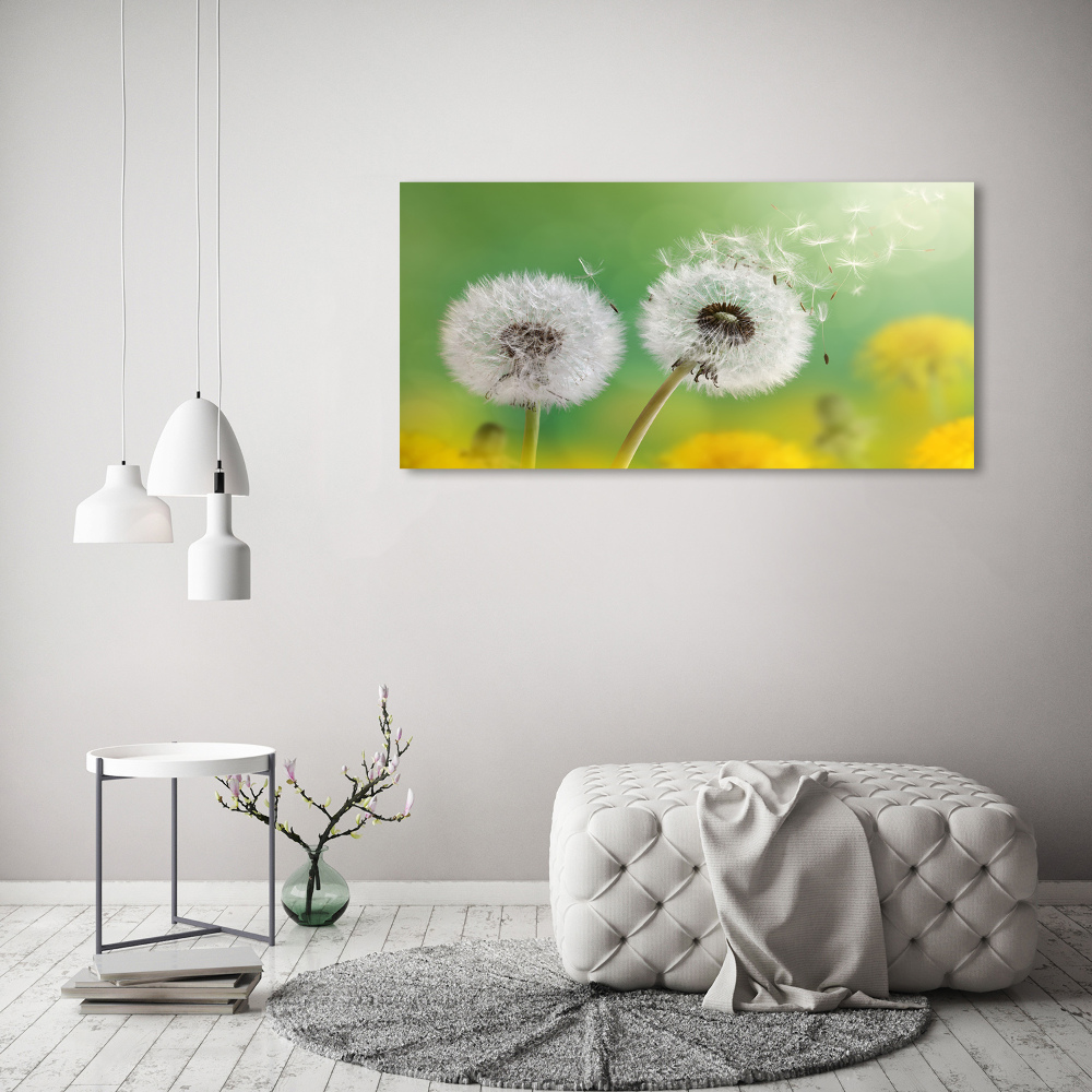 Acrylic wall art dandelions