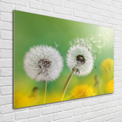 Acrylic wall art dandelions